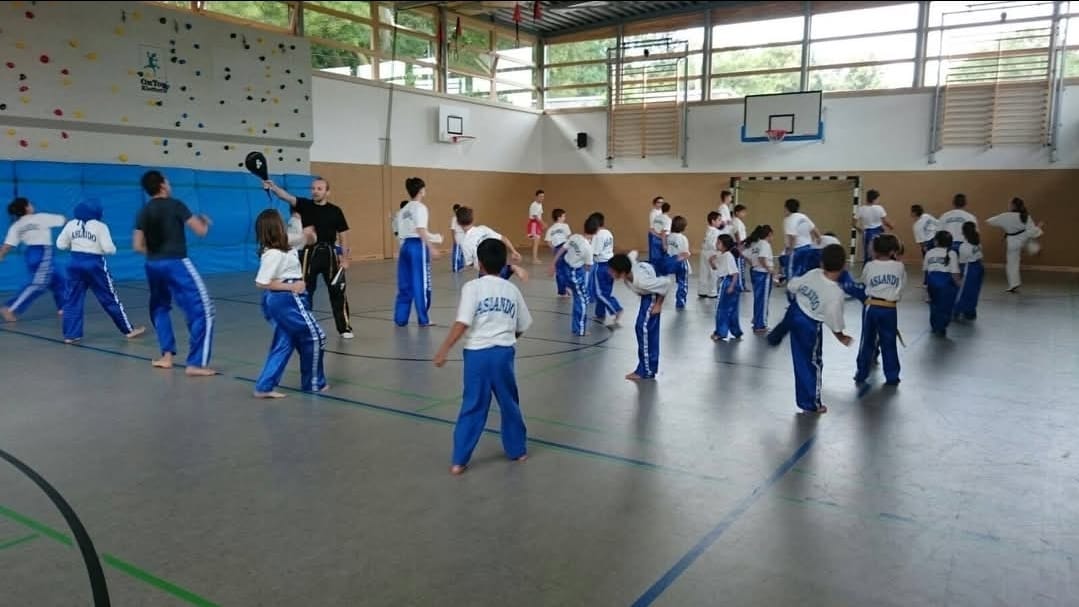 Aslando temel eğitim programı